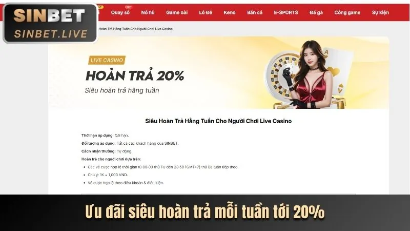 Hoàn trả hàng tuần N188DN